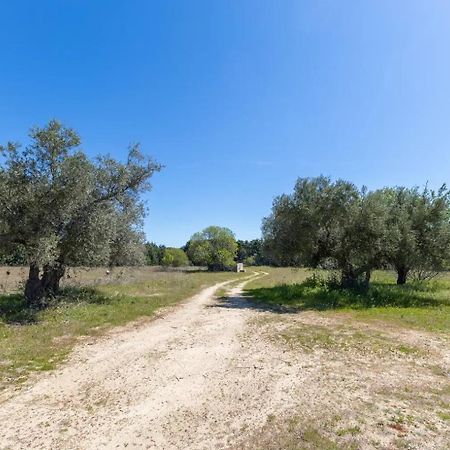 Finca El Palomar De La Vina Μαδρίτη Εξωτερικό φωτογραφία